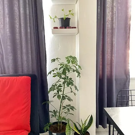 Appartement Cozy Apartment